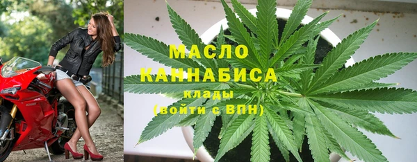 индика Богданович